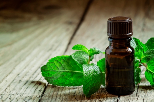 Essential oil of peppermint in a small brown bottle